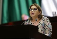 Diputada Guadalupe Almaguer solicitará al INE sanciones para el senador Ricardo Monreal