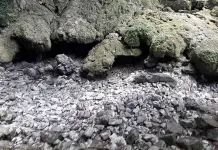 Sequ&iacute;a excepcional afecta seis comunidades de Aquism&oacute;n