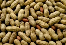 Beneficios del maní para la salud reproductiva y el embarazo