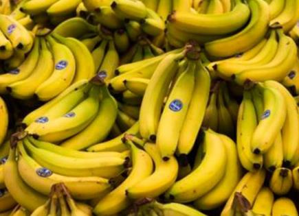 Los beneficios del plátano para la salud renal