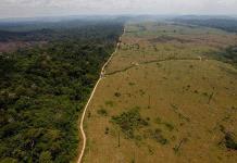 Aumenta la deforestación en la Amazonía de Brasil