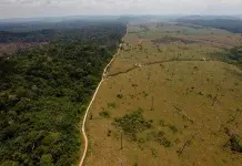 Aumenta la deforestación en la Amazonía de Brasil Aumenta la deforestación en la Amazonía de Brasil