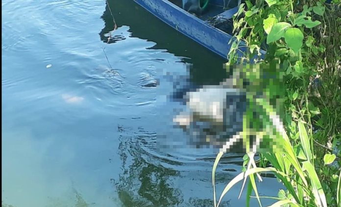 Localizan cadáver en el río Moctezuma