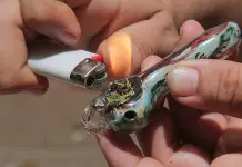 Día Mundial de la Marihuana: ¿Qué beneficios y desventajas tiene su consumo? Día Mundial de la Marihuana: ¿Qué beneficios y desventajas tiene su consumo?