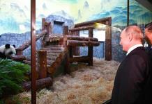 Putin y Xi reeditan la diplomacia de los pandas (FOTOS)
