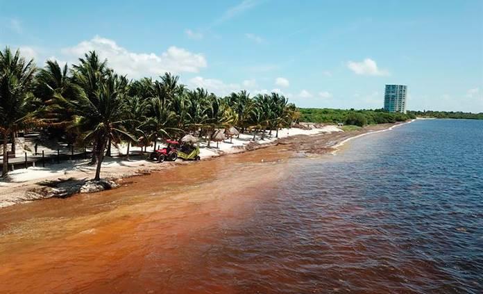 Inseguridad, sargazo y poca promoción impactan en sector turístico del Caribe mexicano