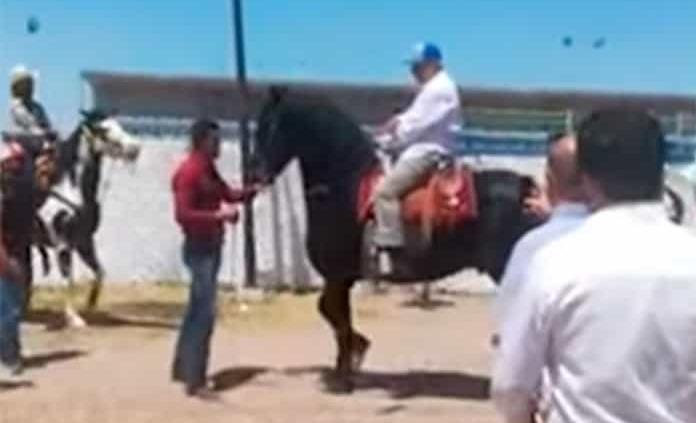 VIDEO: AMLO quiere domar a Sansón; monta caballo en Camargo