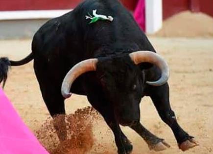 Petición de Firmas para Abolir las Corridas de Toros en México