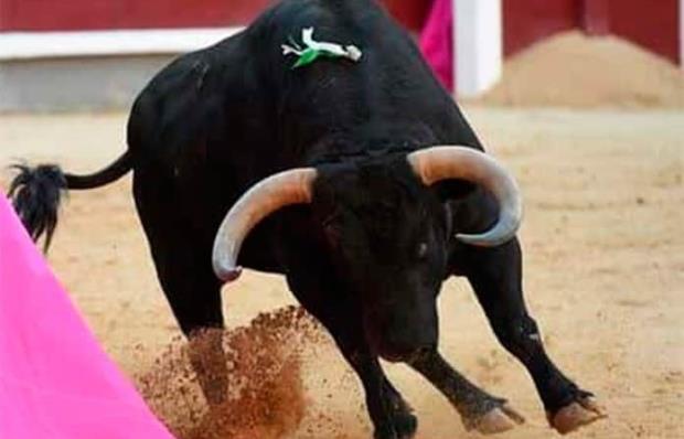 Opiniones divididas sobre el futuro de la fiesta taurina en México