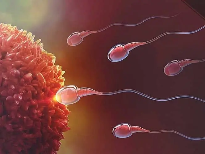 No hay pruebas sólidas de que las terapias para mejorar la fecundación in vitro funcionen