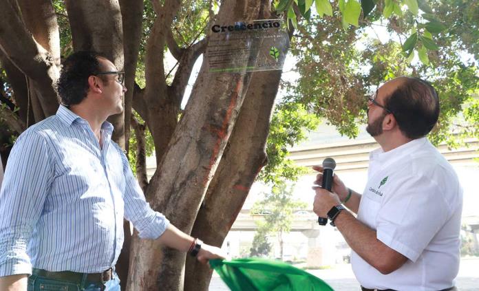 Colocan placas conmemorativas a Manuel y Crescencio, los árboles salvados en el distribuidor Juárez