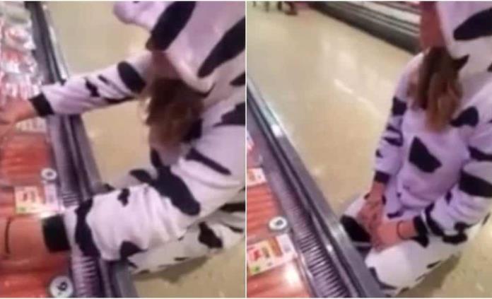 Activista se disfraza de vaca y protesta contra maltrato animal en una tienda de Australia (VIDEO)