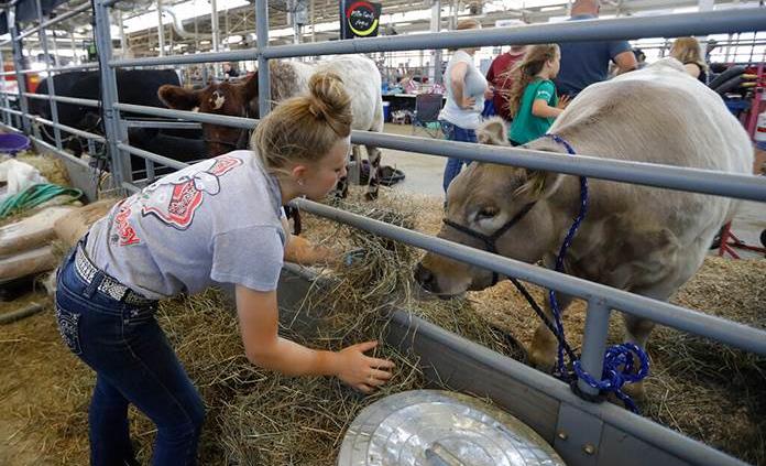 Comunidad rural de Alabama rechaza festival latino porque asusta al ganado