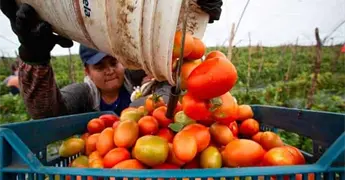 Econom&iacute;a rechaza imposici&oacute;n de aranceles por trabajo forzoso
