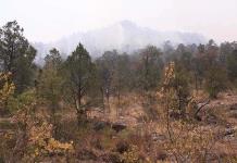 Ordena Semarnat consulta sobre Sierra de San Miguelito