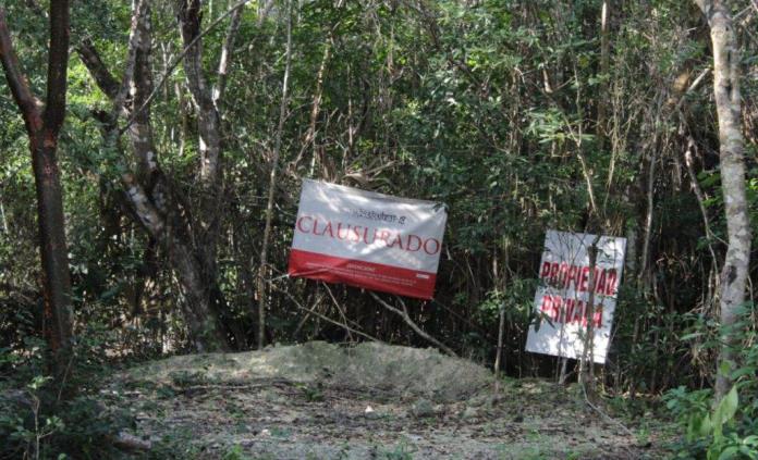 Empresa mexicana quiere construir zoológico en humedal que dañó en Cozumel