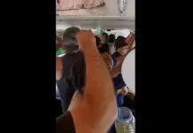 Pasajeros de microbús se unen para cantar El Triste Pasajeros de microbús se unen para cantar El Triste
