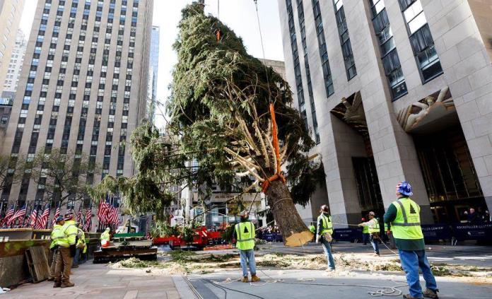 Neoyorquinos reciben con entusiasmo al famoso árbol del Rockefeller Center