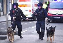 Policía británica investiga 88 muertes ligadas a web canadienses de autolesiones