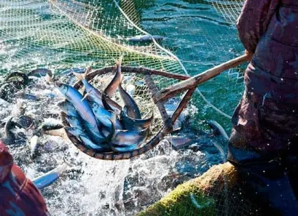 Acusados mexicanos por pesca ilegal en aguas de EE. UU.