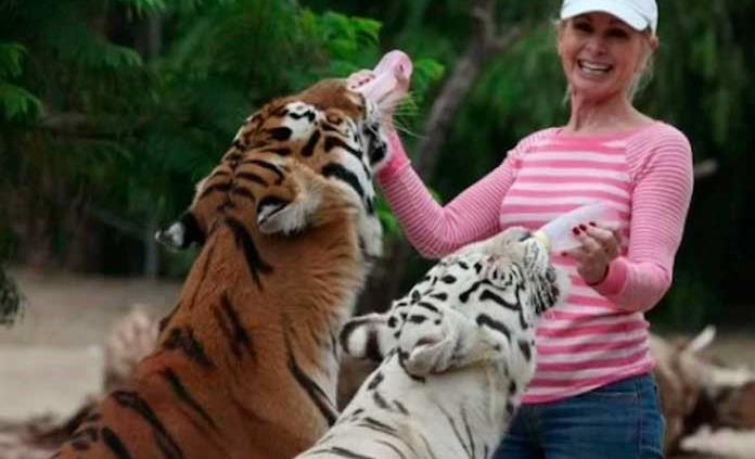 Activista sufre lesiones por tigres en santuario de animales