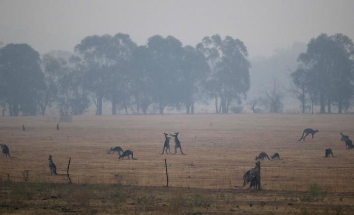 Australia lleva ayuda por mar a pueblos aislados por fuegos