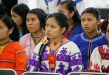 Importancia de las Lenguas Indígenas en la Educación Mexicana Importancia de las Lenguas Indígenas en la Educación Mexicana