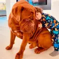 El monstruoso perro del hijo de Messi