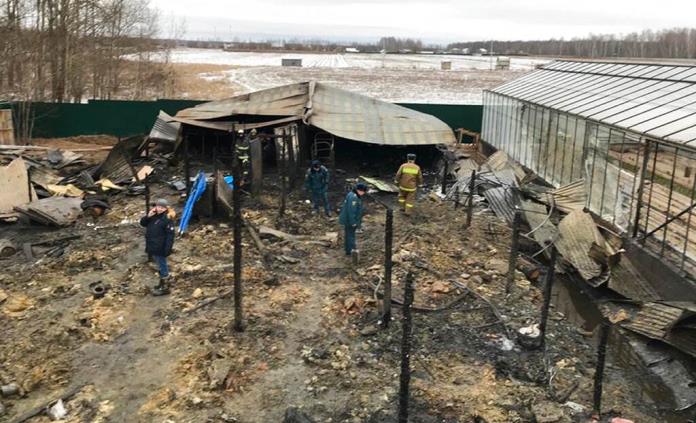 Ocho vietnamitas muertos en incendio en invernadero en Rusia