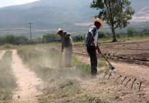 Estudio sobre El Niño y sequías en Centroamérica: ¿Y las soluciones?