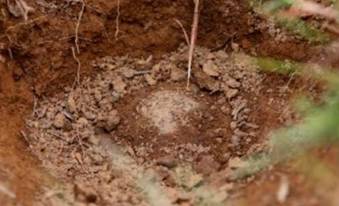 Una madre embarazada y sus 5 hijos, asesinados por secta durante supuesto exorcismo en Panamá