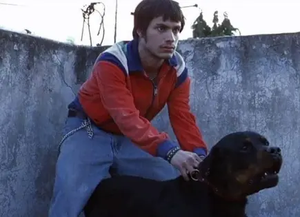 25 Aniversario de Amores Perros en Cannes