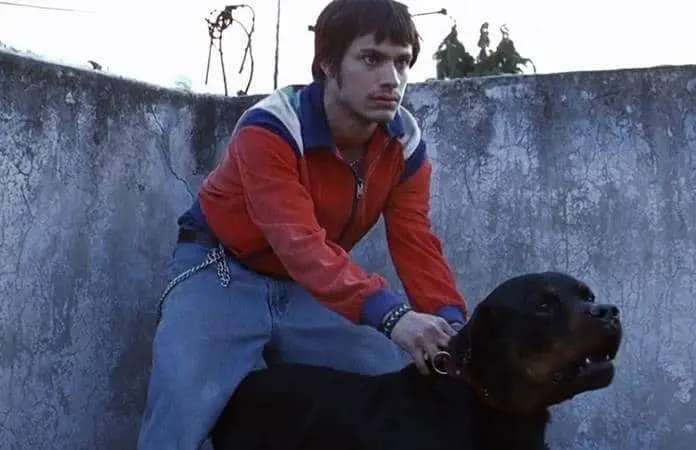 25 Aniversario de Amores Perros en Cannes