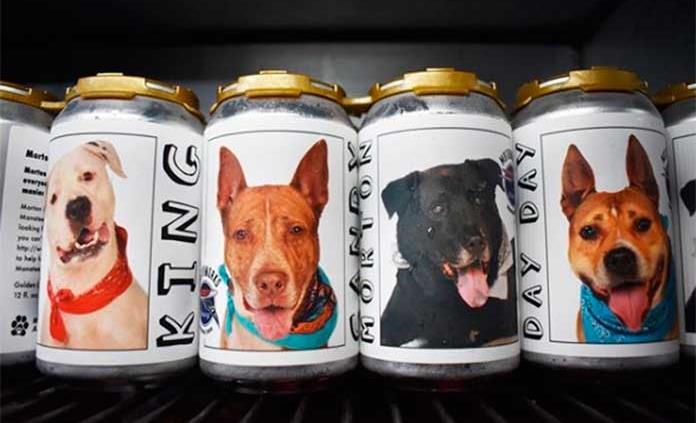 Mujer encuentra a su mascota gracias a campaña de cervecería de Florida para promover la adopción de perros