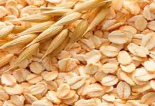 La Avena: Un Aliado Natural para la Diabetes