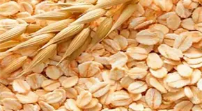 Ent&eacute;rate | Efectos y beneficios de la avena