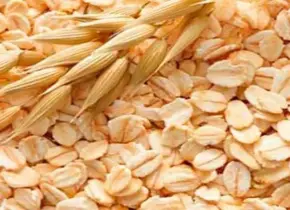 La avena: aliada para la salud con sus nutrientes y beneficios