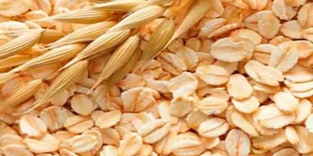 La avena: aliada para la salud con sus nutrientes y beneficios