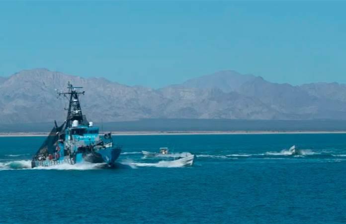 Foto: Sea Shepherd