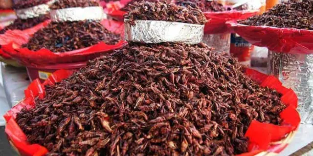 Beneficios de comer chapulines: una opción nutritiva y sostenible