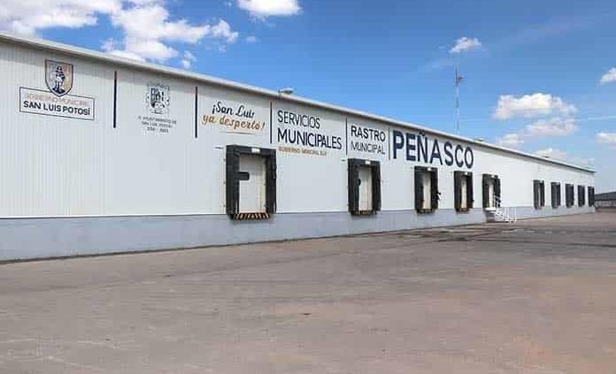 Rastro de Peñasco iniciará pruebas para matanza de caballos