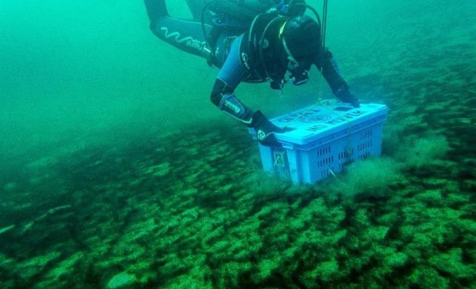 Expertos crean archivo arqueológico en fondo de lago del Nevado de Toluca