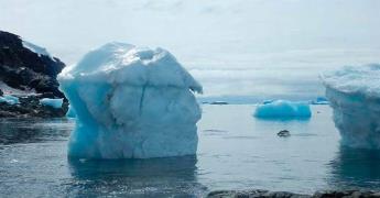 Impacto de la atlantificación en el ecosistema ártico