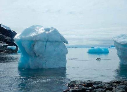 Impacto de la atlantificación en el ecosistema ártico