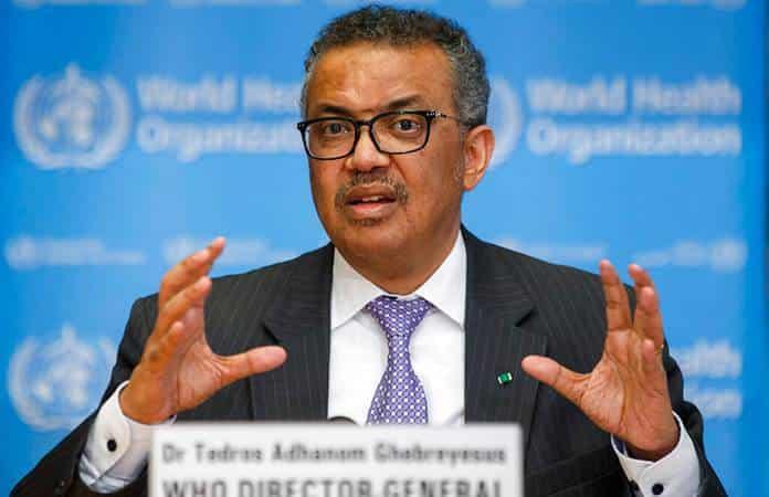 Tedros Adhanom Ghebreyesus, director de la OMS / Foto: AP