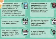 El helado, un favorito de los postres que puede reducir el estrés de cuarentena El helado, un favorito de los postres que puede reducir el estrés de cuarentena