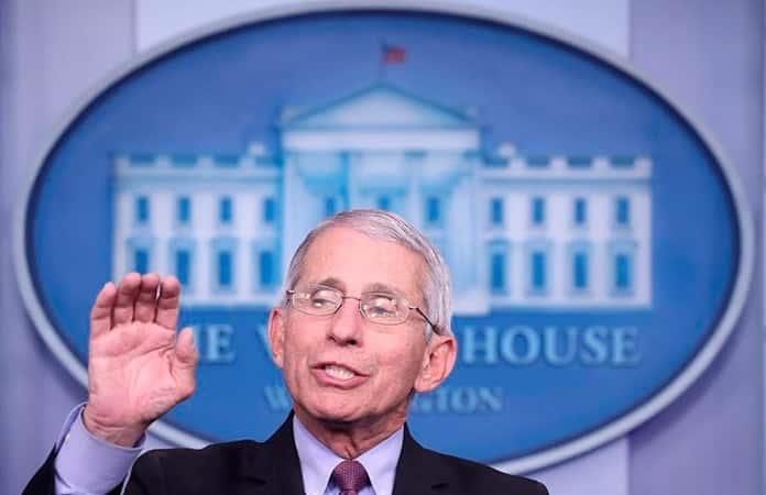 Anthony S. Fauci / EFE