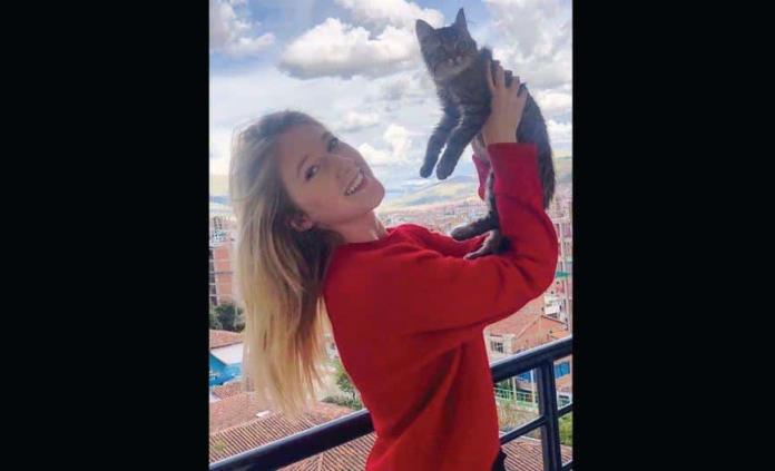La orden de sacrificar a un gato de Perú por falta de vacuna divide a las autoridades belgas