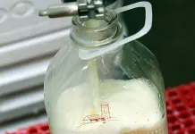 Cinco respuestas a mitos sobre la leche