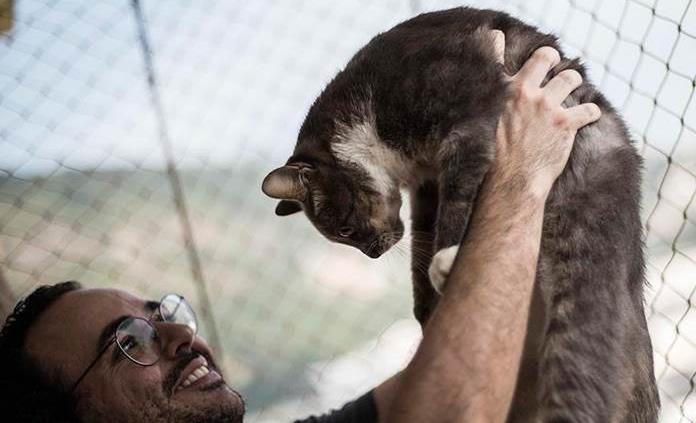 Mascotas a domicilio: la adopción se reinventa en Brasil por la pandemia